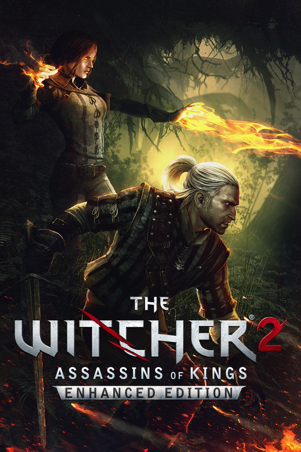 The Witcher 2